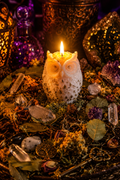 Owl With The Old And In With The New Spell